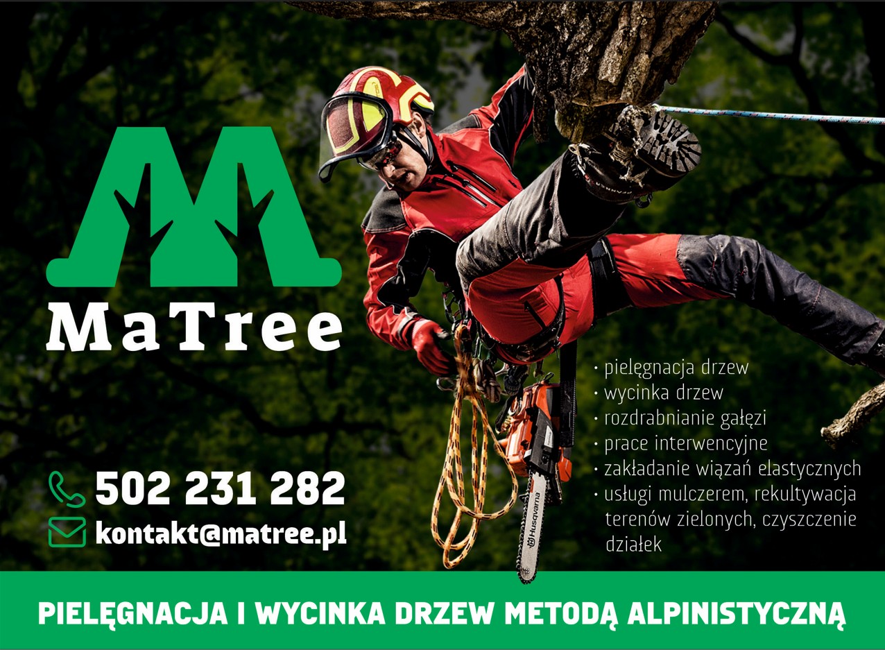 Wycinka alpinistyczna PIONKI